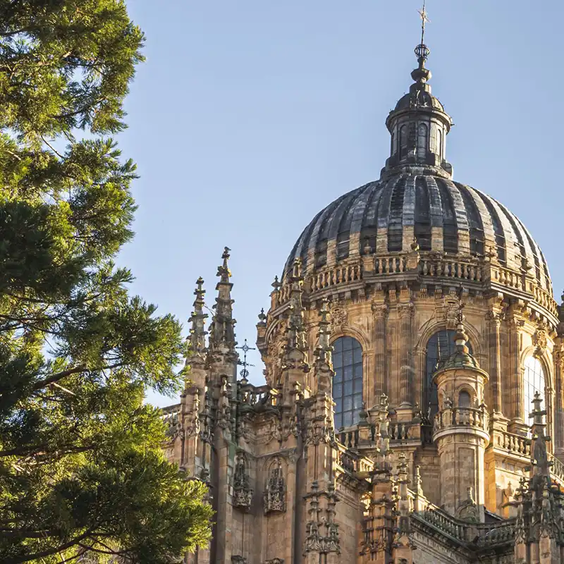 catedral-de-salamaca